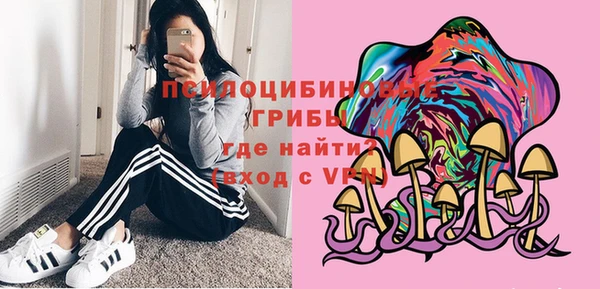 ПСИЛОЦИБИНОВЫЕ ГРИБЫ Алексин
