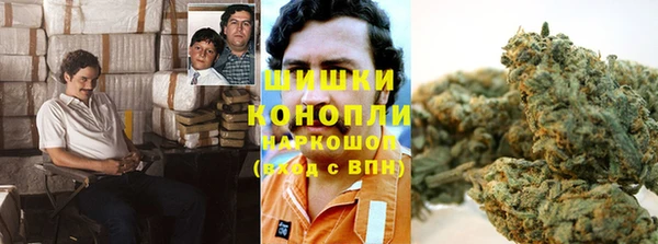 ПСИЛОЦИБИНОВЫЕ ГРИБЫ Алексин