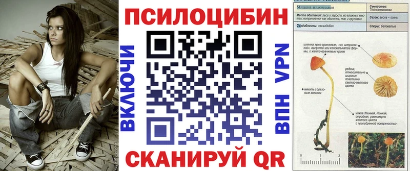 Галлюциногенные грибы ЛСД Заозёрный
