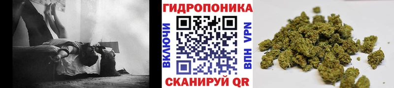 MEGA   Заозёрный  Бошки Шишки индика  наркошоп 
